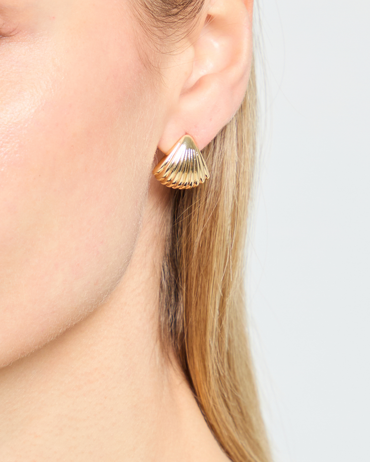 Seashell Stud Earrings