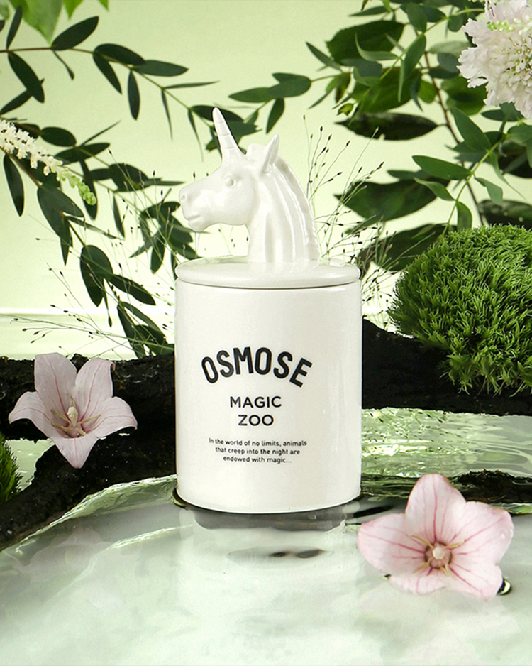 Magic Zoo Candle